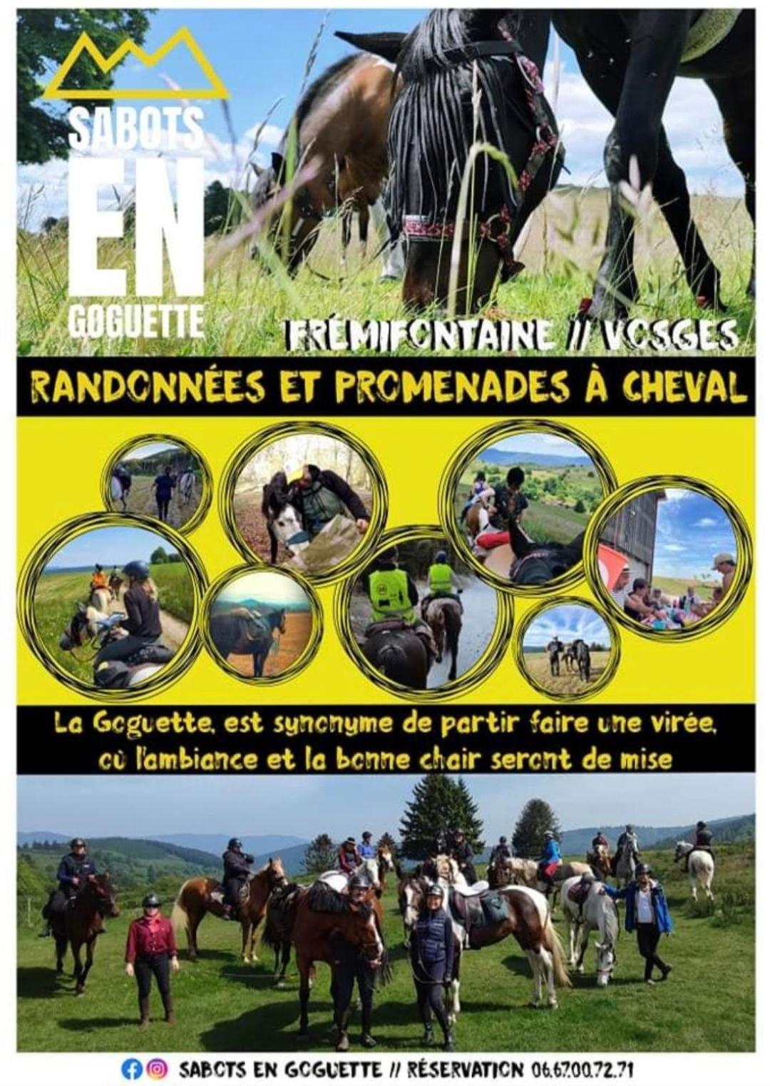 Les Vergers D'Epona "Fremifontaine Vosges" Exterior photo